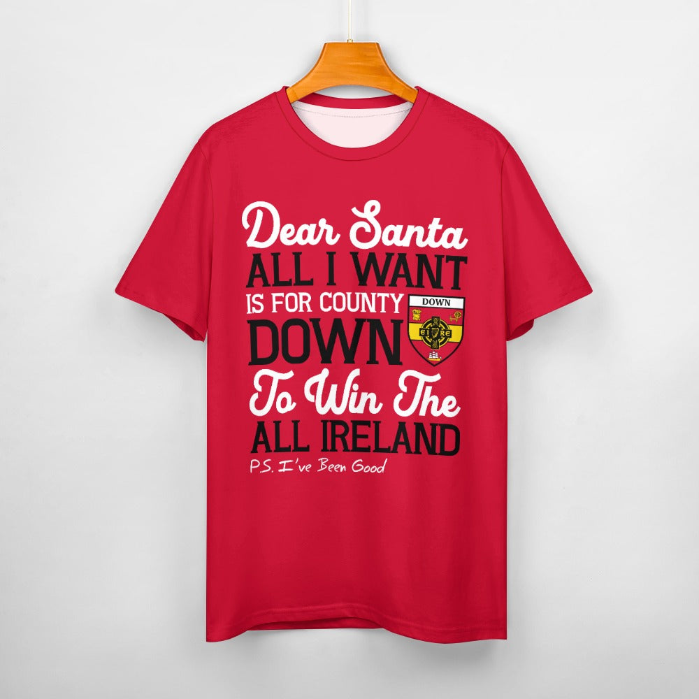 County Down Dear Santa T-Shirt