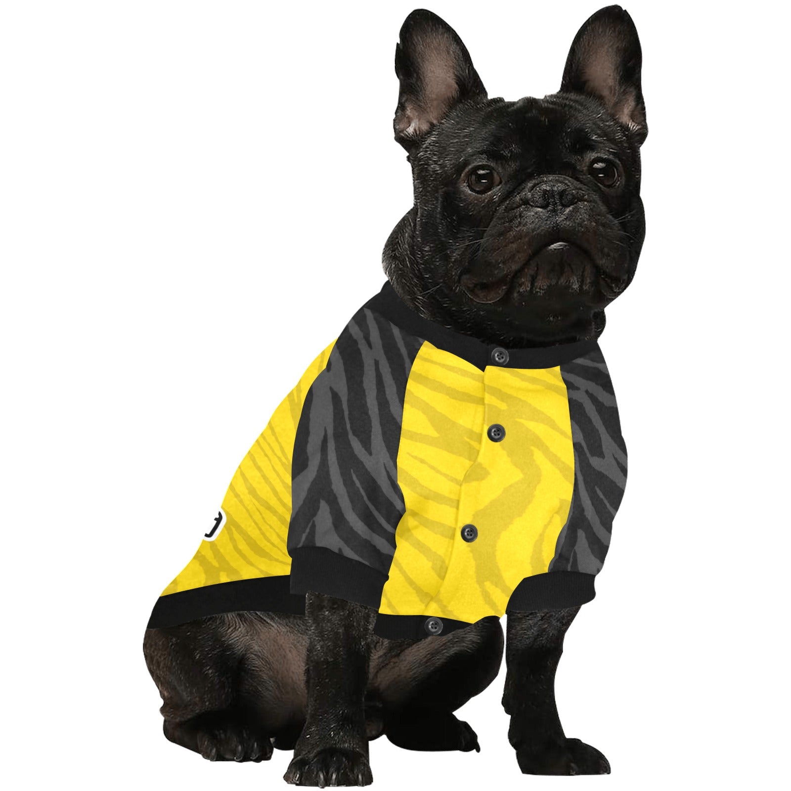 County Kilkenny Jersey Inspired Pet Shirt