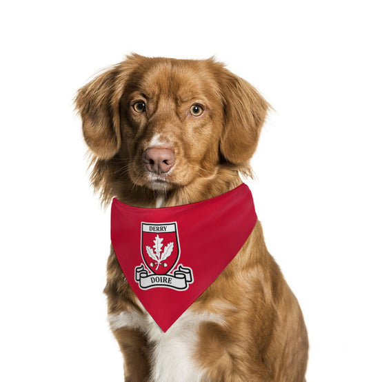 County Derry Classic Crest Pet Bandana