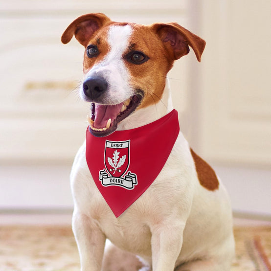County Derry Classic Crest Pet Bandana