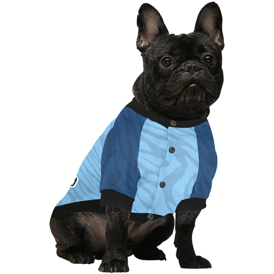 County Dublin Jersey Inspired Pet Shirt