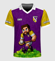 County Wexford Little Legends Jersey - Kids