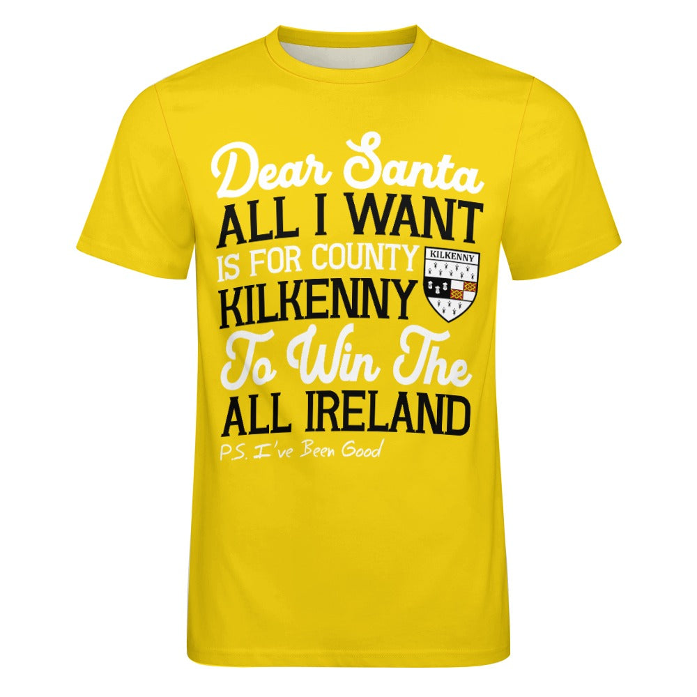 County Kilkenny Dear Santa T-Shirt 4XL