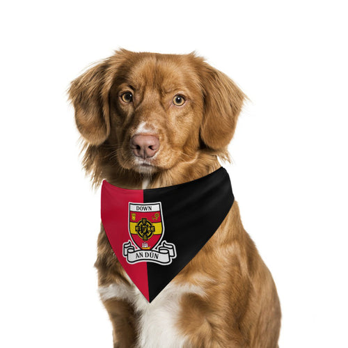 County Down Classic Crest Pet Bandana