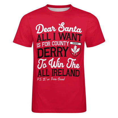 County Derry Dear Santa T-Shirt 4XL