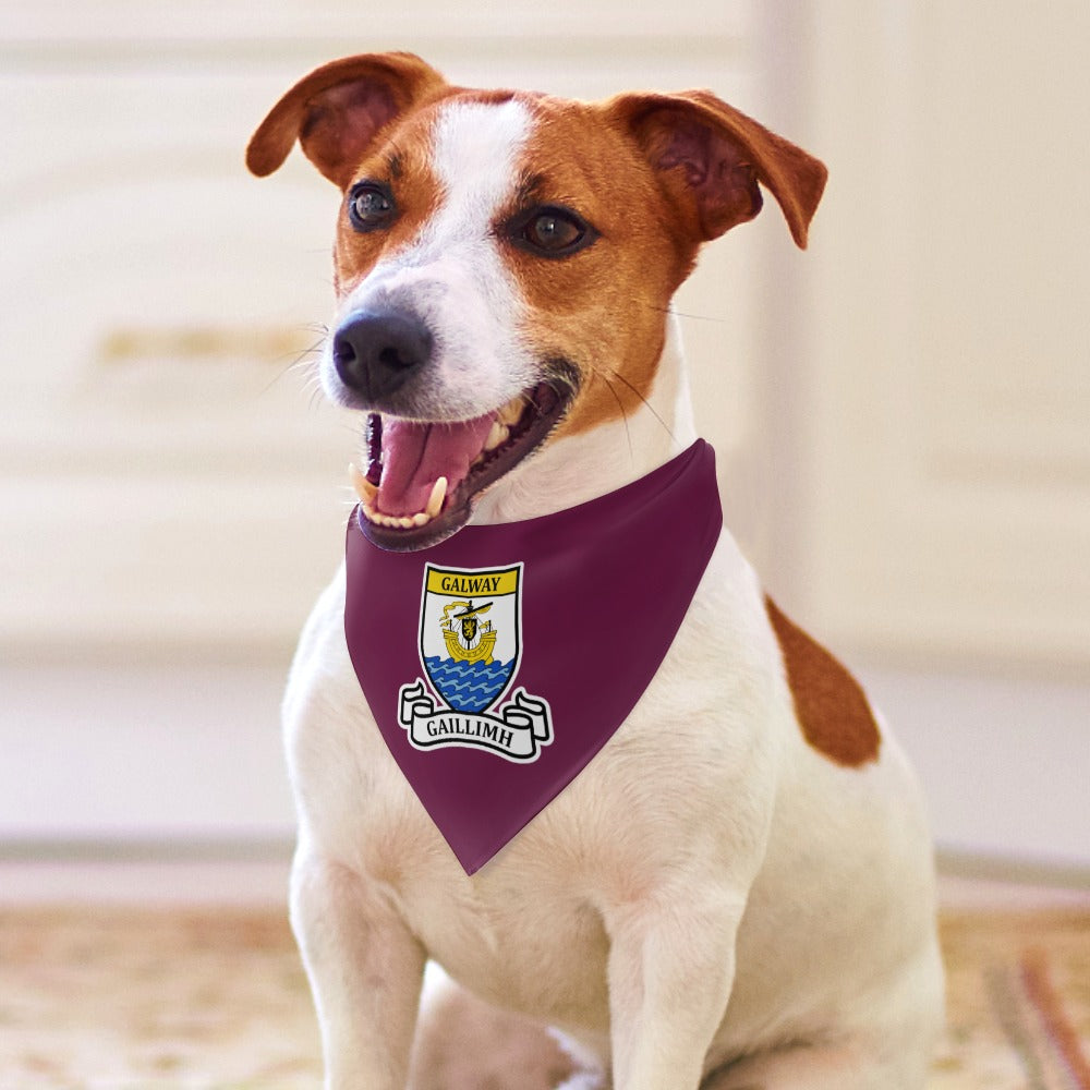 County Galway Classic Crest Pet Bandana