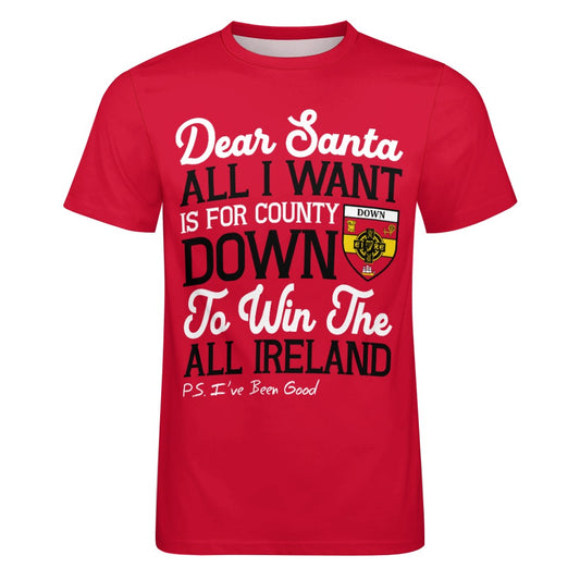 County Down Dear Santa T-Shirt 4XL