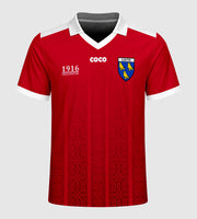 County Louth 1916 Proclamation Jersey - Kids