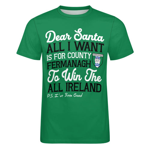 County Fermanagh Dear Santa T-Shirt 4XL