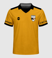County Kilkenny Retro Jersey Away