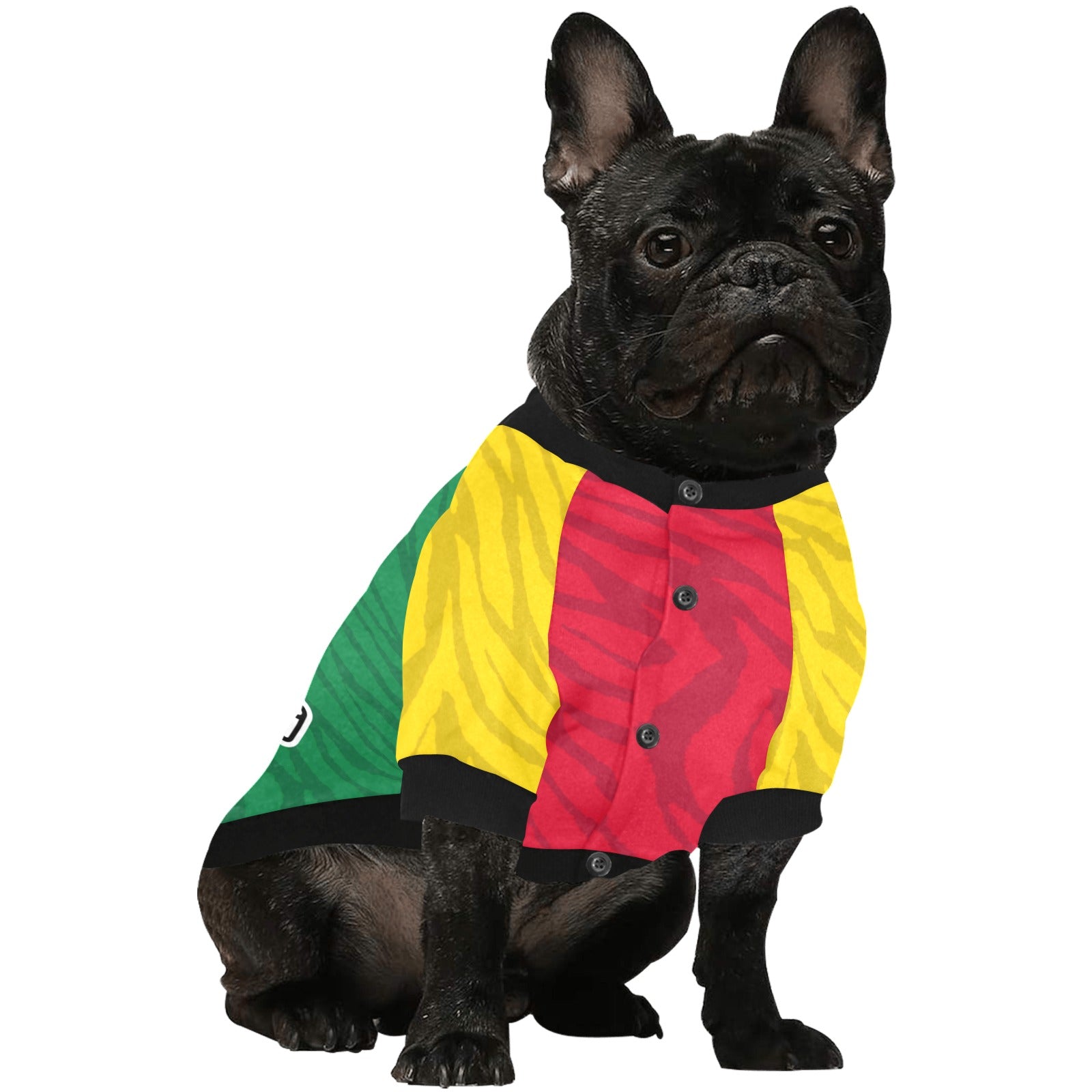County Carlow Jersey Inspired Pet Shirt