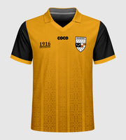 County Kilkenny 1916 Proclamation Jersey