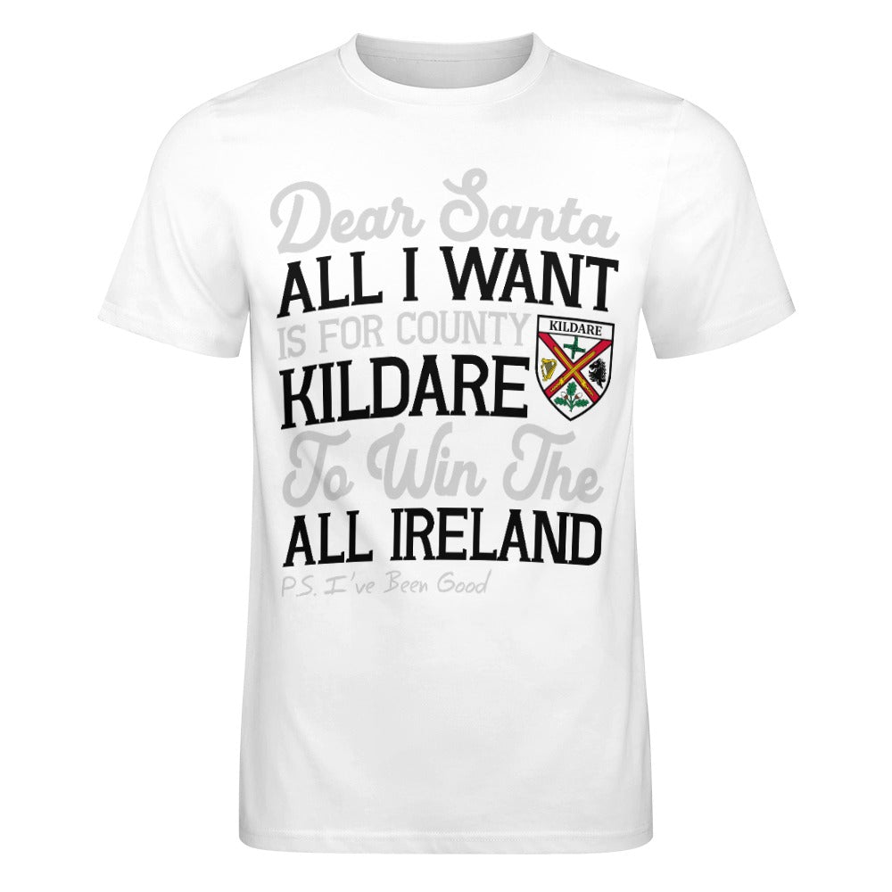 County Kildare Dear Santa T-Shirt 4XL