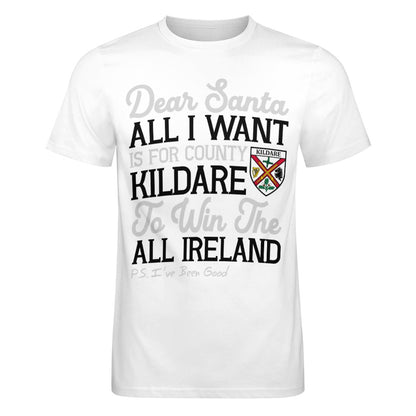 County Kildare Dear Santa T-Shirt 4XL