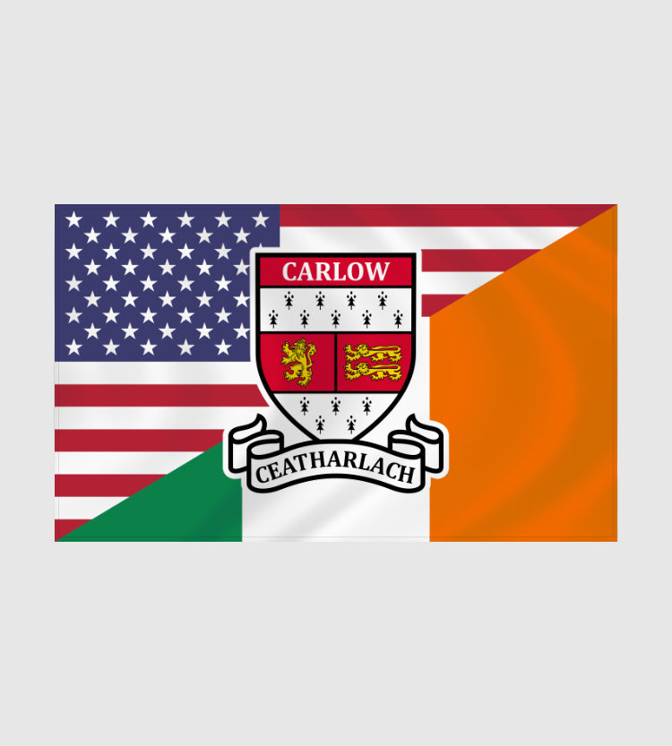 County Carlow Irish American Flag