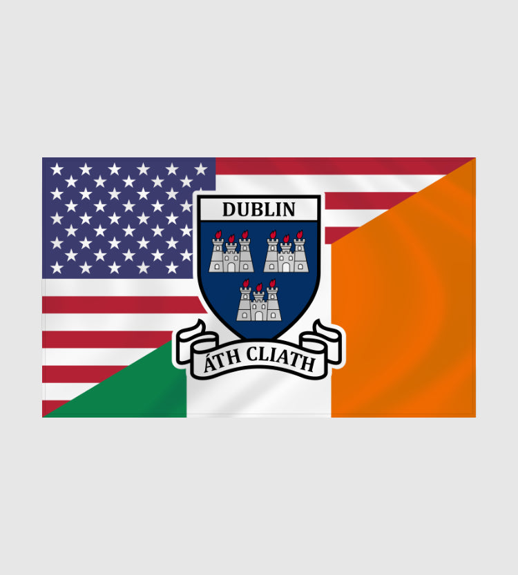 County Dublin Irish American Flag