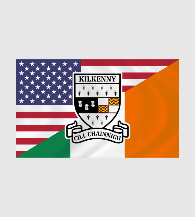 County Kilkenny Irish American Flag