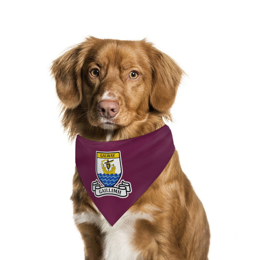 County Galway Classic Crest Pet Bandana
