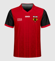 County Down 1916 Proclamation Jersey - Kids