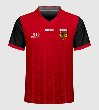 County Down 1916 Proclamation Jersey - Kids