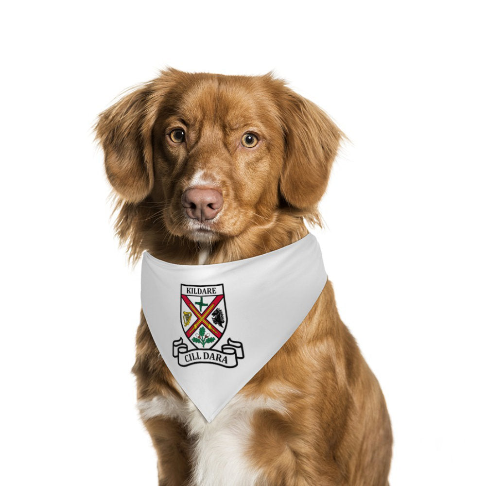 County Kildare Classic Crest Pet Bandana