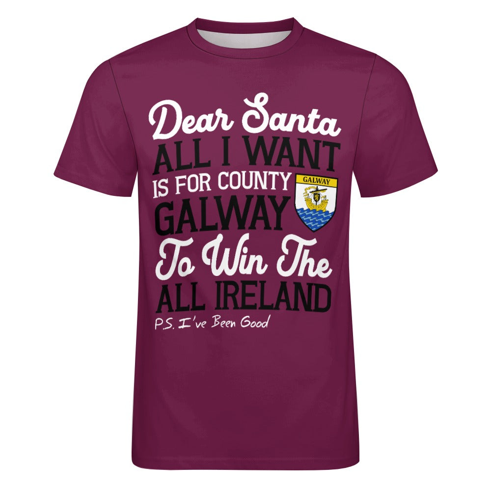 County Galway Dear Santa T-Shirt 4XL