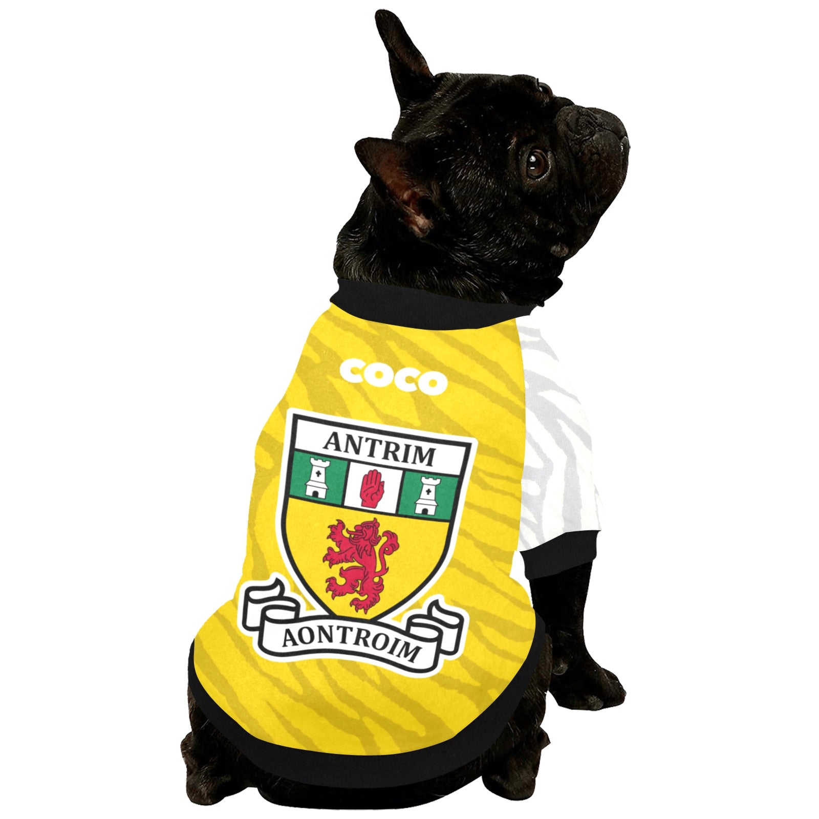 County Antrim Jersey Inspired Pet Shirt
